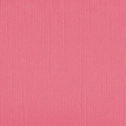 101140 Pink Salmon