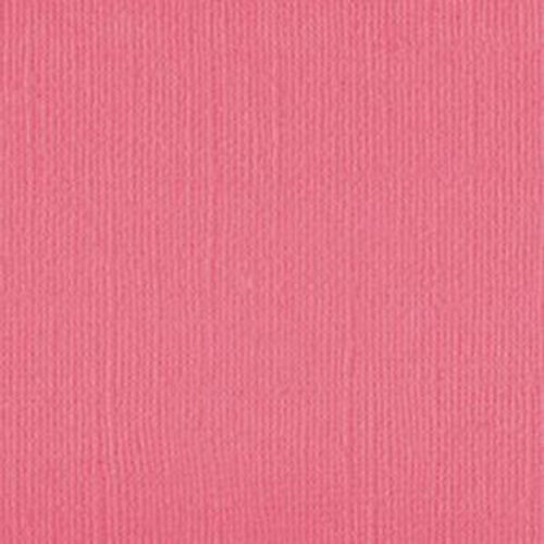 101140 Pink Salmon