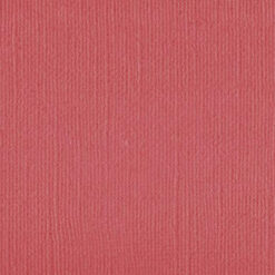 101145 Coral