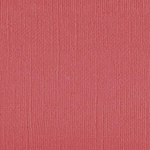 101145 Coral