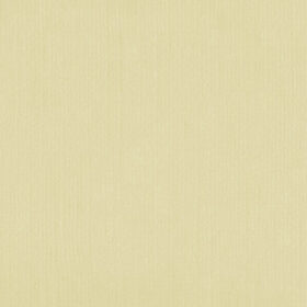 2010112 Bone White