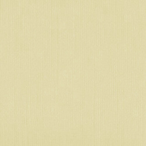 2010112 Bone White