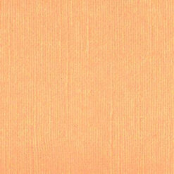 203325 Light Salmon