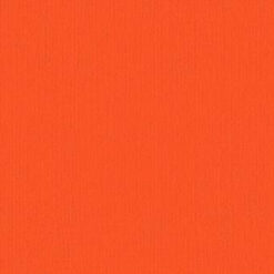 203335 Carrot