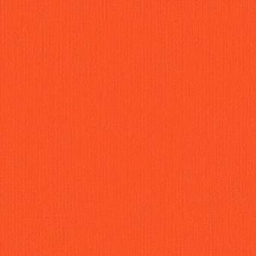 203335 Carrot