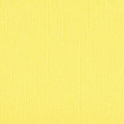 204405 Bitter Lemon