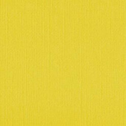 204425 Wattle