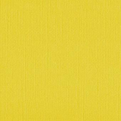 204425 Wattle