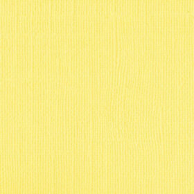 204428 Canary