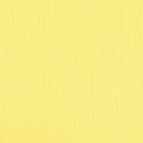 204428 Canary