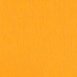 204433 Daffodil