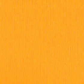 204433 Daffodil