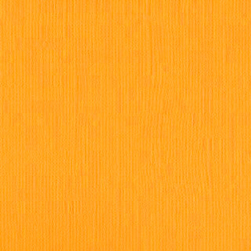 204433 Daffodil