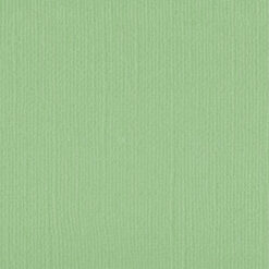 205515 Spring Bud