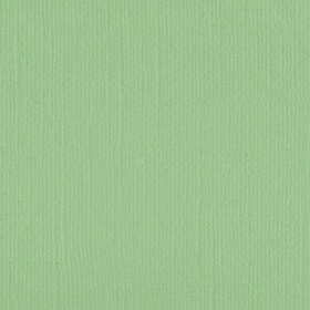 205515 Spring Bud