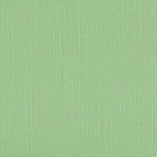 205515 Spring Bud