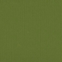 205524 Weeping Willow