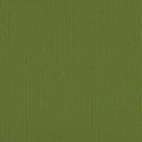 205524 Weeping Willow