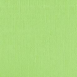 205531 Green Melon
