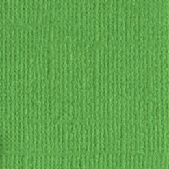 205546 Veggie Patch