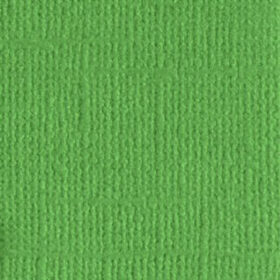 205546 Veggie Patch