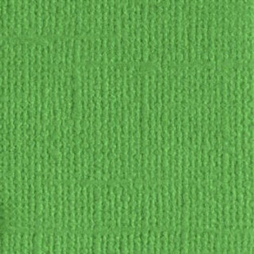 205546 Veggie Patch