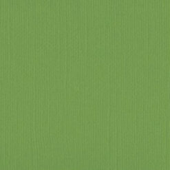 205558 Asparagus