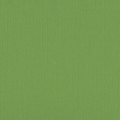 205558 Asparagus