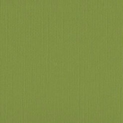 205560 Wasabi