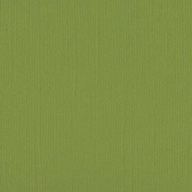 205560 Wasabi
