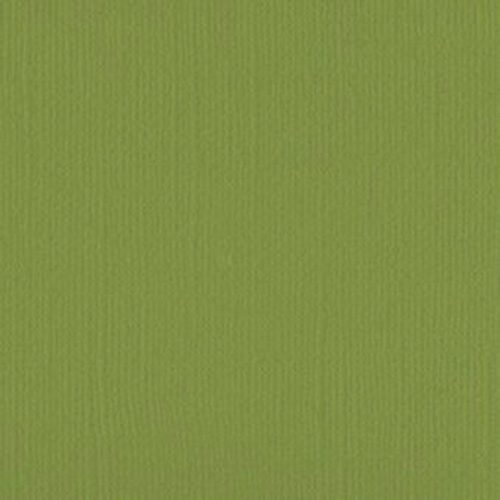 205560 Wasabi