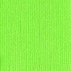 205563 Lime