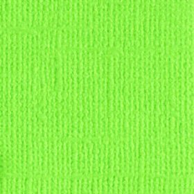 205563 Lime