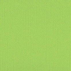 205567 Apple