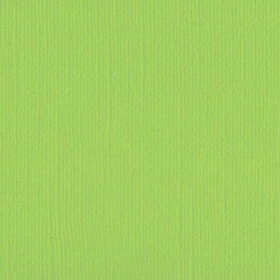 205567 Apple