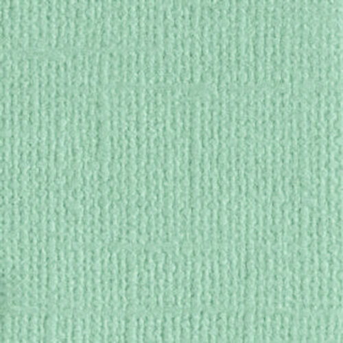 205580 Mint Tulip