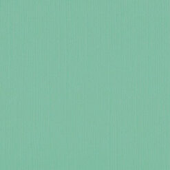 205592 Magic Mint