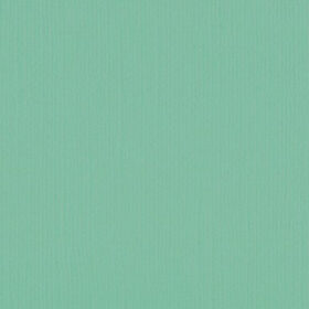 205592 Magic Mint