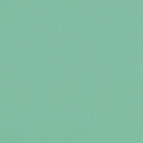 205592 Magic Mint