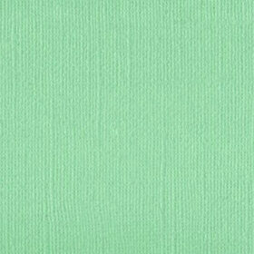 205595 Tropic