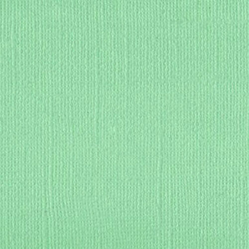 205595 Tropic