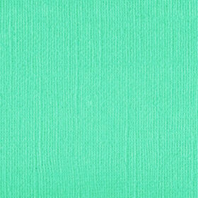 205597 Spearmint