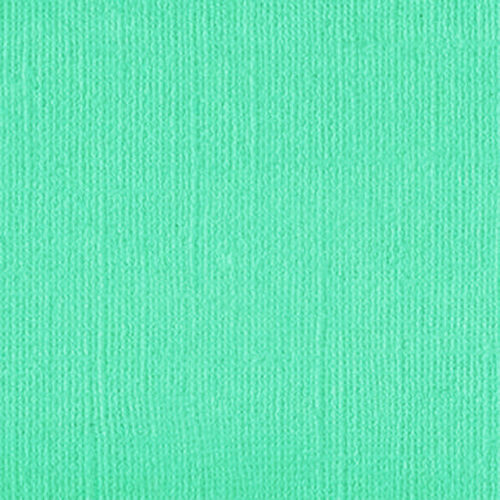 205597 Spearmint