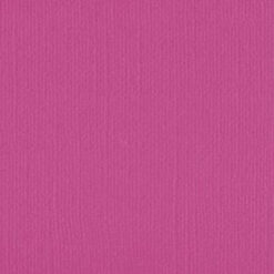 206615 Fuchsia