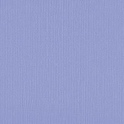 206641 Grape Compote