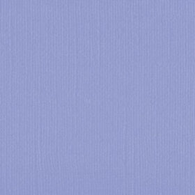206641 Grape Compote