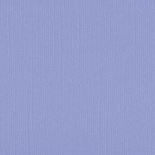 206641 Grape Compote