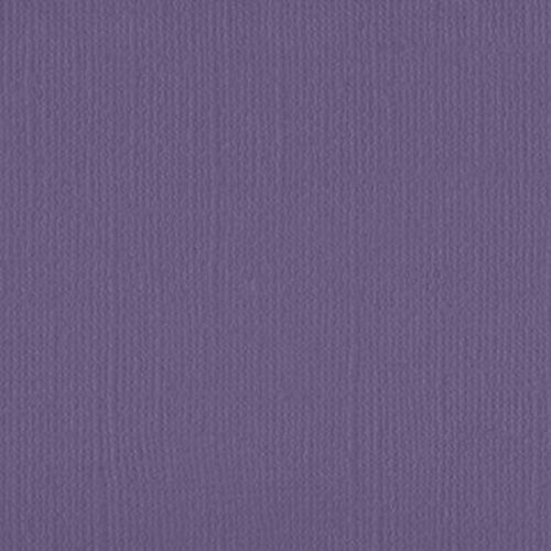 206645 Violet