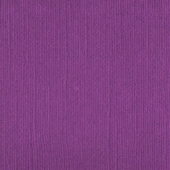 206650 Very Vivid Voilet