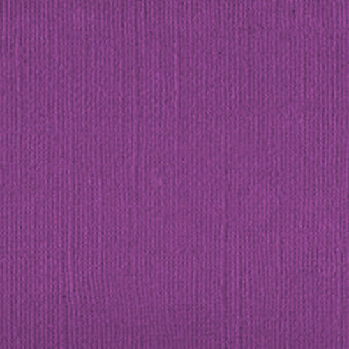 206650 Very Vivid Voilet